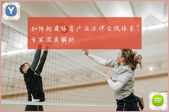 如何构建体育产业法律合规体系？专家深度解析